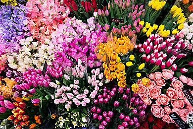 管理冒险《熊与早餐》9月15登陆NS PC获特别好评